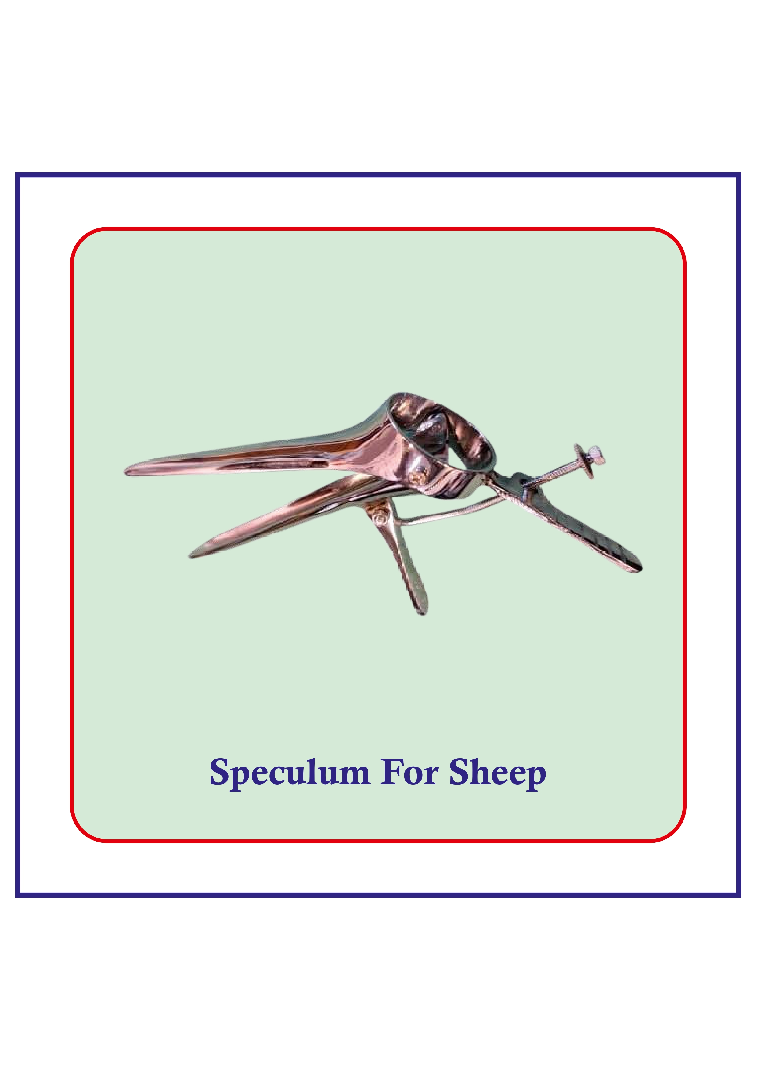 Veterinary speculum for sheep reproductive examination